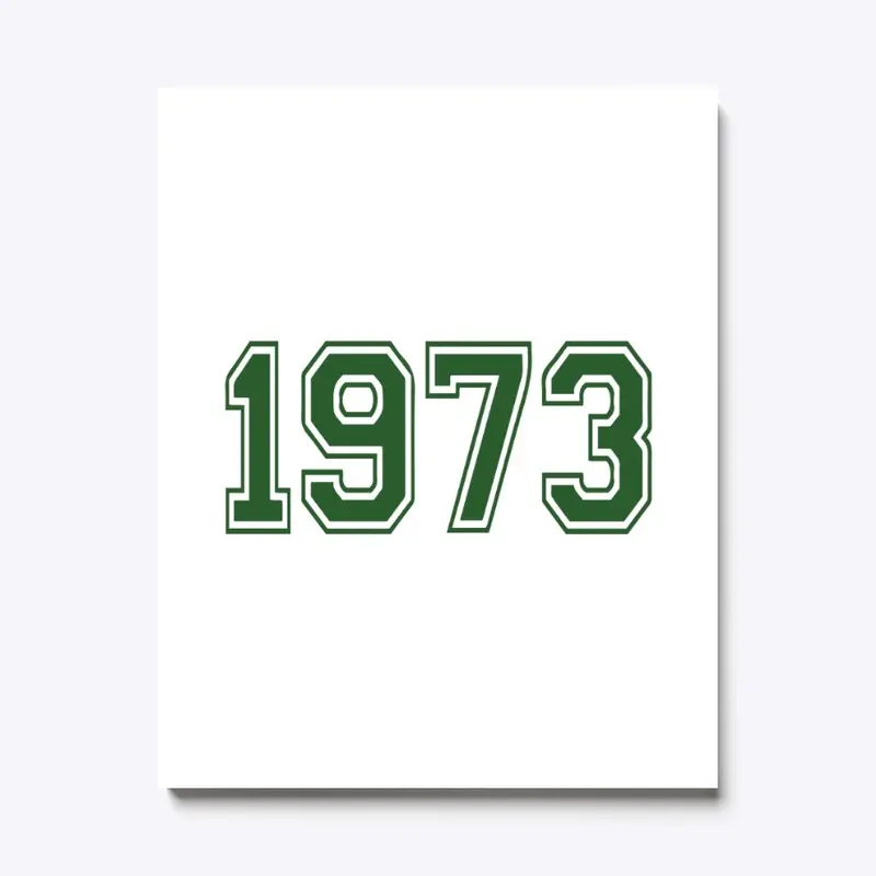 1973 T Shirt